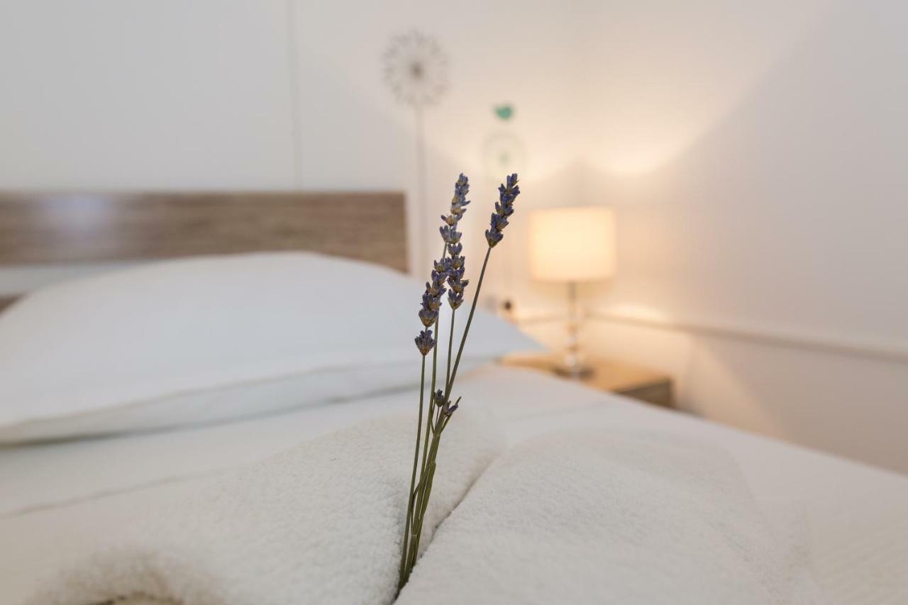 Cozy Apartment Josipa Privlaka  Buitenkant foto